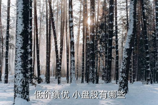  低價(jià)績(jī)優(yōu) 小盤(pán)股有哪些