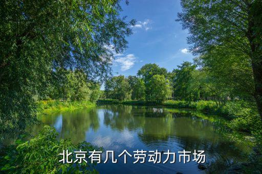  北京有幾個(gè)勞動力市場