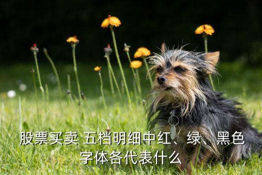  股票買賣 五檔明細(xì)中紅、綠、黑色字體各代表什么