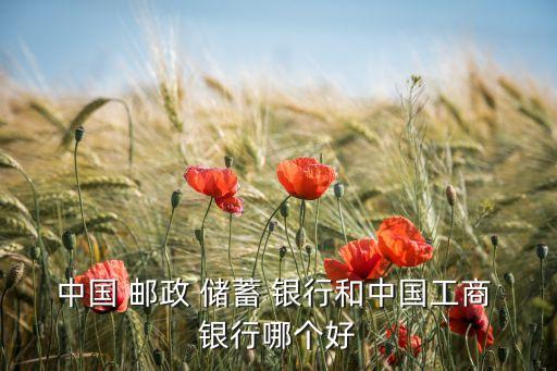 中國 郵政 儲蓄 銀行和中國工商 銀行哪個(gè)好