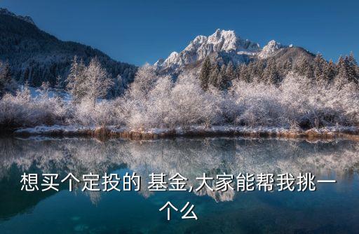 想買(mǎi)個(gè)定投的 基金,大家能幫我挑一個(gè)么