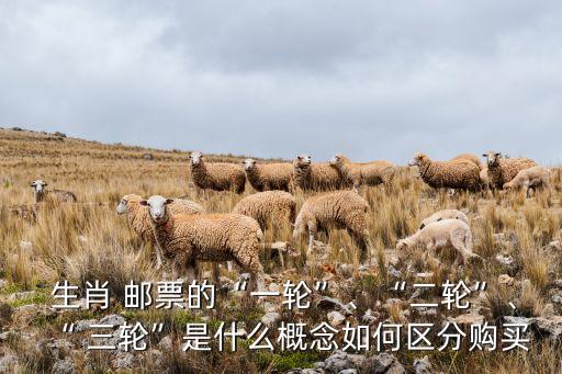  生肖 郵票的“一輪”、“二輪”、“ 三輪”是什么概念如何區(qū)分購買