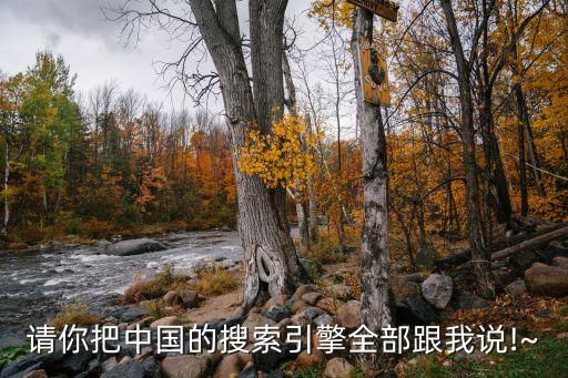 請(qǐng)你把中國(guó)的搜索引擎全部跟我說!~