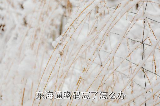 東?；鸸?/></a></span><span id=