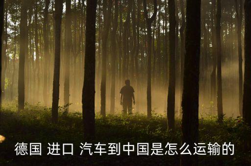德國(guó) 進(jìn)口 汽車到中國(guó)是怎么運(yùn)輸?shù)? class=