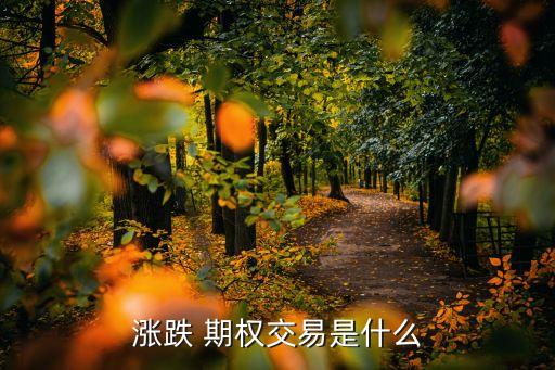 股票延賣(mài)期權(quán),股票跟期權(quán)做哪個(gè)更好