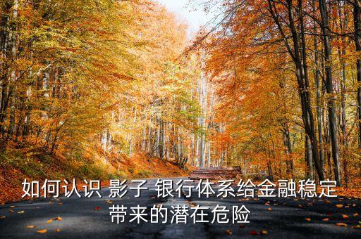 如何認(rèn)識(shí) 影子 銀行體系給金融穩(wěn)定帶來的潛在危險(xiǎn)