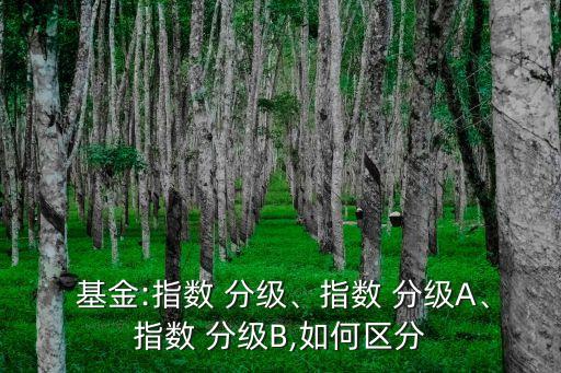  基金:指數(shù) 分級、指數(shù) 分級A、指數(shù) 分級B,如何區(qū)分
