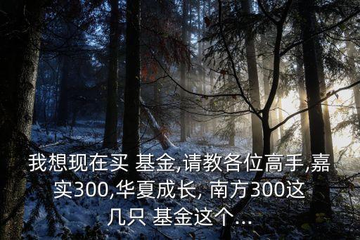 我想現(xiàn)在買 基金,請教各位高手,嘉實(shí)300,華夏成長, 南方300這幾只 基金這個...