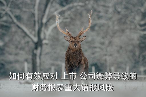 如何有效應(yīng)對 上市 公司舞弊導(dǎo)致的財(cái)務(wù)報(bào)表重大錯報(bào)風(fēng)險(xiǎn)