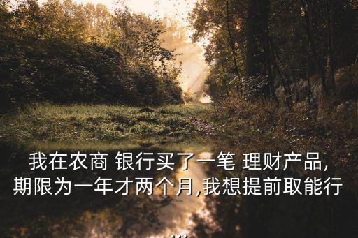 我在農(nóng)商 銀行買了一筆 理財(cái)產(chǎn)品,期限為一年才兩個月,我想提前取能行...
