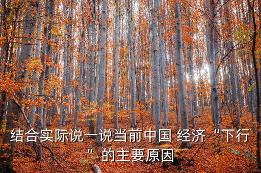 結(jié)合實(shí)際說一說當(dāng)前中國 經(jīng)濟(jì)“下行”的主要原因