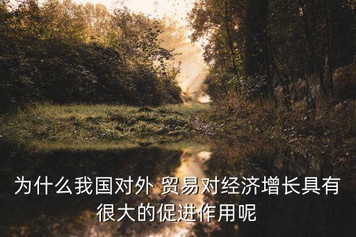 為什么我國對(duì)外 貿(mào)易對(duì)經(jīng)濟(jì)增長具有很大的促進(jìn)作用呢