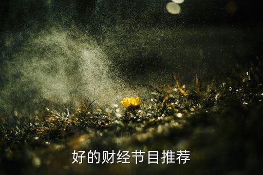 好的財經節(jié)目推薦
