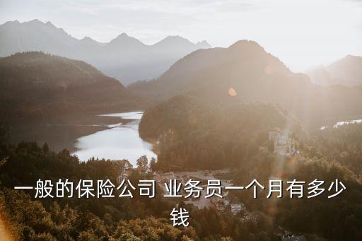 一般的保險(xiǎn)公司 業(yè)務(wù)員一個(gè)月有多少錢(qián)