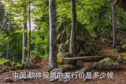 中國(guó) 軟件股票的發(fā)行價(jià)是多少錢(qián)