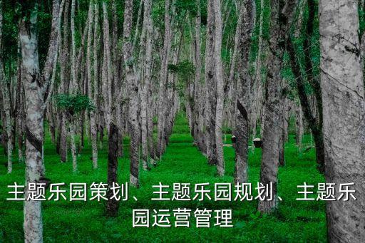 主題樂園策劃、主題樂園規(guī)劃、主題樂園運(yùn)營管理