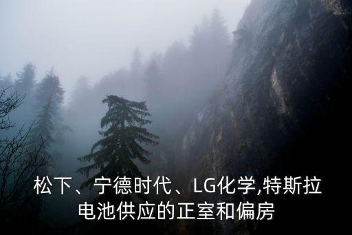  松下、寧德時代、LG化學(xué),特斯拉電池供應(yīng)的正室和偏房