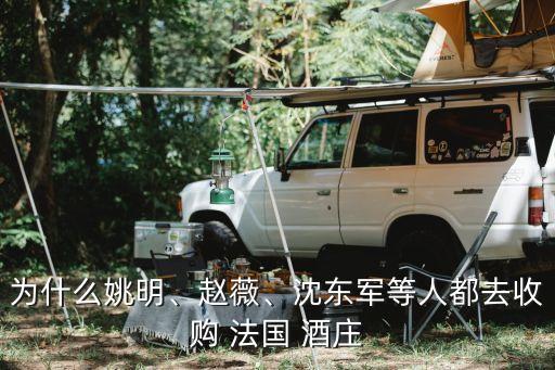 為什么姚明、趙薇、沈東軍等人都去收購 法國 酒莊