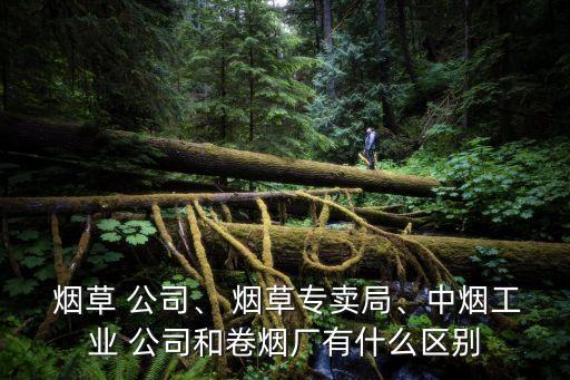  煙草 公司、 煙草專賣局、中煙工業(yè) 公司和卷煙廠有什么區(qū)別