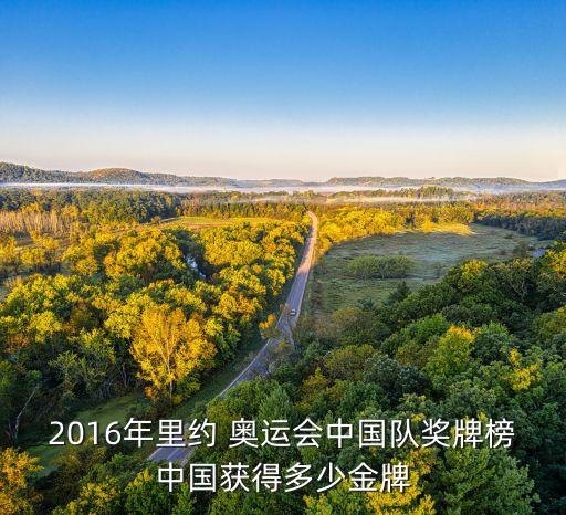 2016年里約 奧運(yùn)會(huì)中國隊(duì)獎(jiǎng)牌榜中國獲得多少金牌