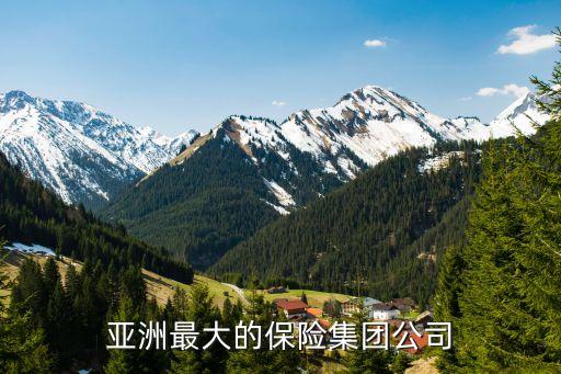 亞洲最大的保險集團(tuán)公司