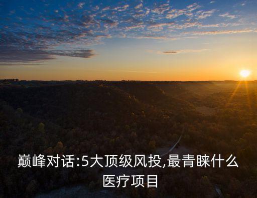 巔峰對話:5大頂級風(fēng)投,最青睞什么 醫(yī)療項(xiàng)目
