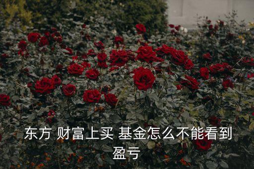  東方 財(cái)富上買(mǎi) 基金怎么不能看到盈虧