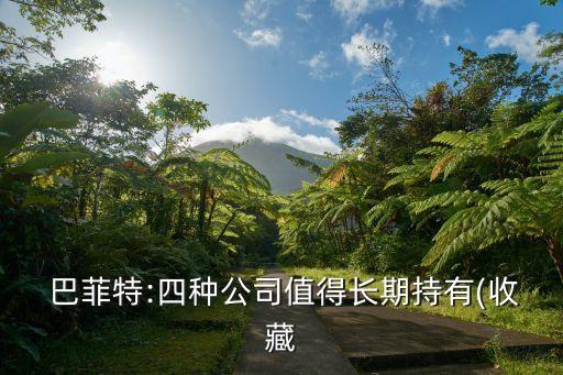 巴菲特買(mǎi)服務(wù)業(yè)股票比較多