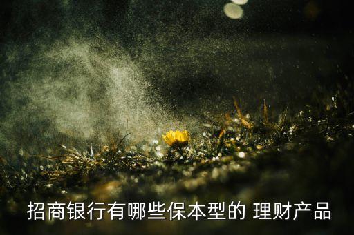  招商銀行有哪些保本型的 理財(cái)產(chǎn)品