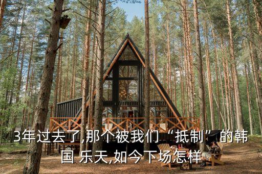 3年過去了,那個(gè)被我們“抵制”的韓國 樂天,如今下場怎樣