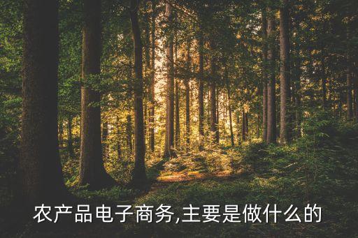 農(nóng)產(chǎn)品電子商務,主要是做什么的