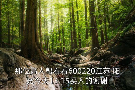 那位高人幫看看600220江蘇 陽(yáng)光今天13.15買(mǎi)入的謝謝