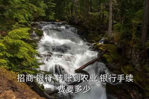  招商 銀行 轉賬到農(nóng)業(yè) 銀行手續(xù)費要多少