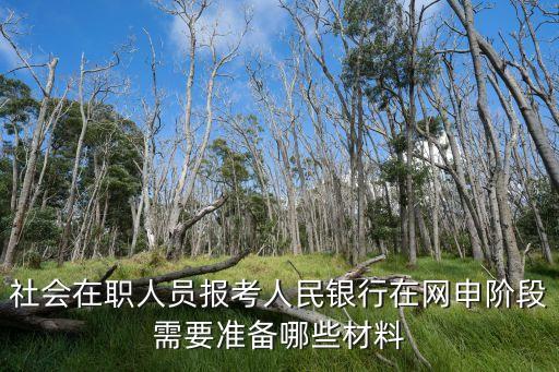 社會在職人員報(bào)考人民銀行在網(wǎng)申階段需要準(zhǔn)備哪些材料