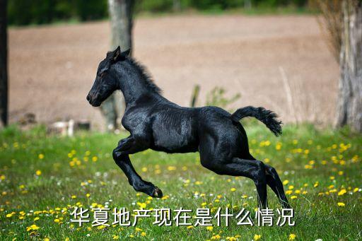 無(wú)錫華夏房地產(chǎn)開發(fā)有限公司,北京金都華夏房地產(chǎn)開發(fā)有限公司