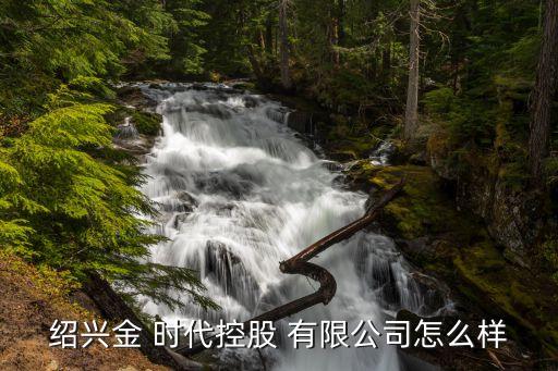 紹興金 時代控股 有限公司怎么樣