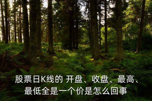  股票日K線的 開(kāi)盤、收盤、最高、最低全是一個(gè)價(jià)是怎么回事