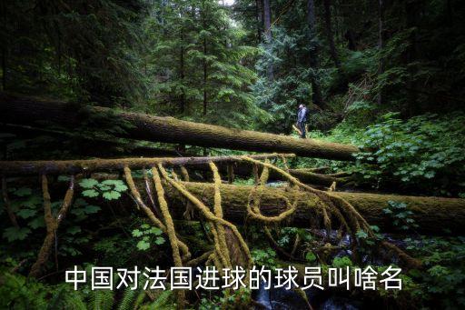 中國對(duì)法國進(jìn)球的球員叫啥名