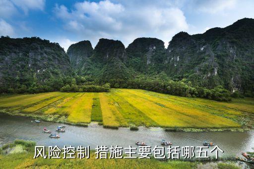  風險控制 措施主要包括哪五個